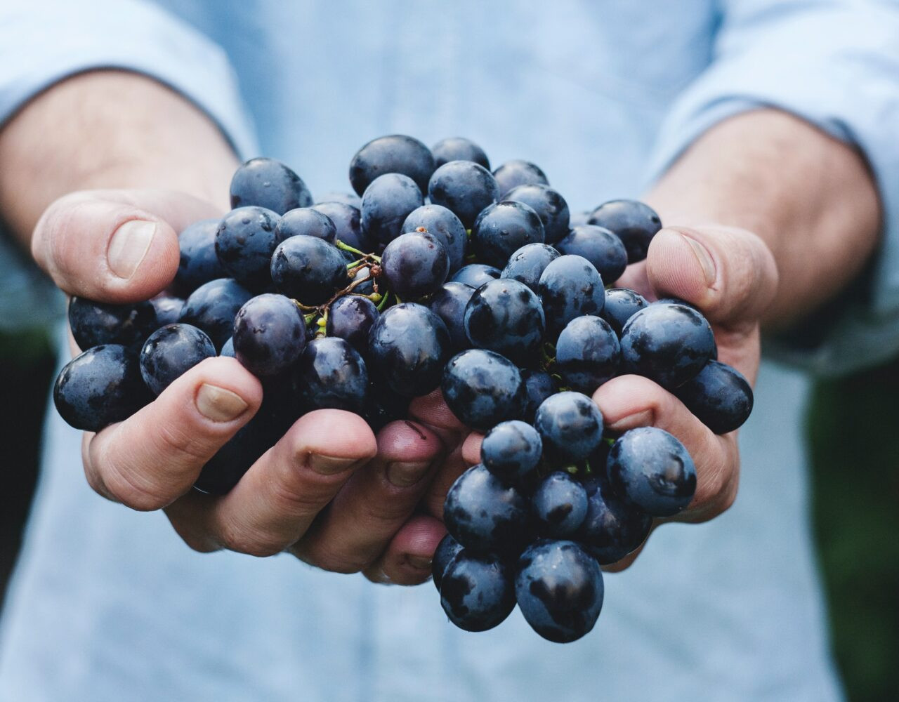 Série “Vinhos com História” na RTP1