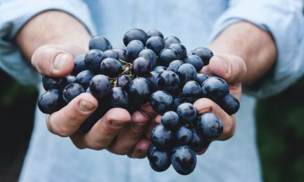 Série “Vinhos com História” na RTP1