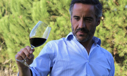 Diogo Sepúlveda é o novo Head of Winemaking Mateus, Verdes, Dão e Lisboa