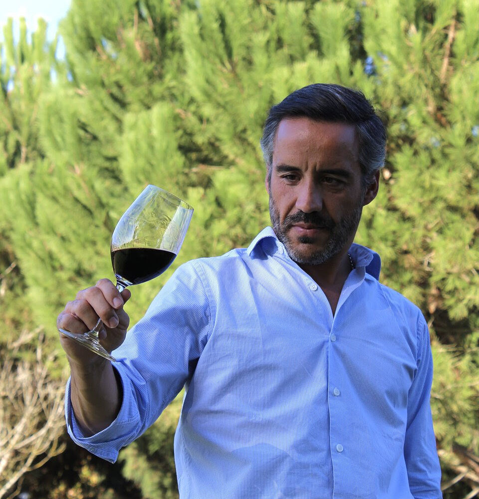 Diogo Sepúlveda é o novo Head of Winemaking Mateus, Verdes, Dão e Lisboa