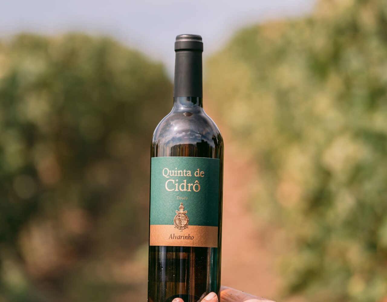 Real Companhia Velha lança ‘Quinta de Cidrô Alvarinho 2020’