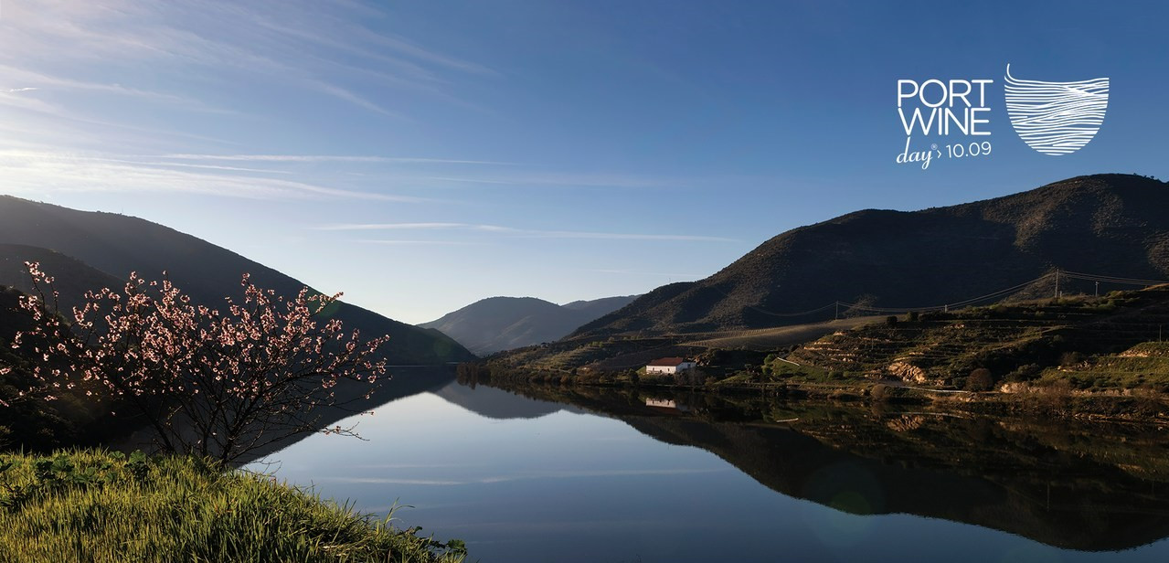 Região Demarcada do Douro Comemora 265 Anos