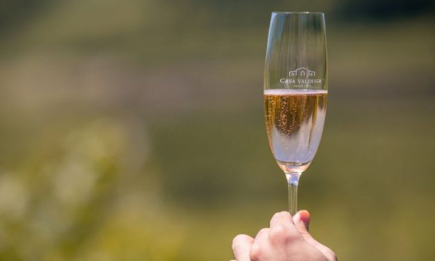 Casa Valduga anuncia as atrações da Vindima 2022