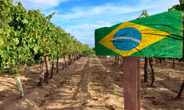 Mercado Externo do Brasil para o mundo