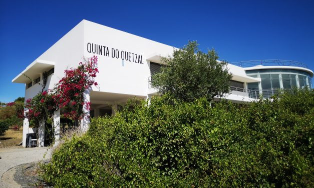 Quinta do Quetzal: onde o vinho e a cultura caminham lado a lado