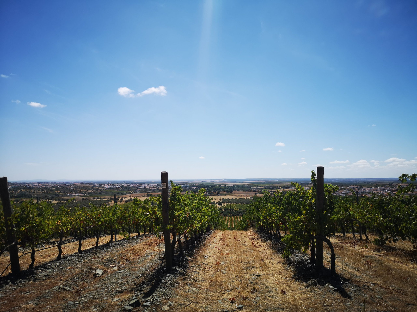 Terroir Quinta do Quetzal | Viva o Vinho