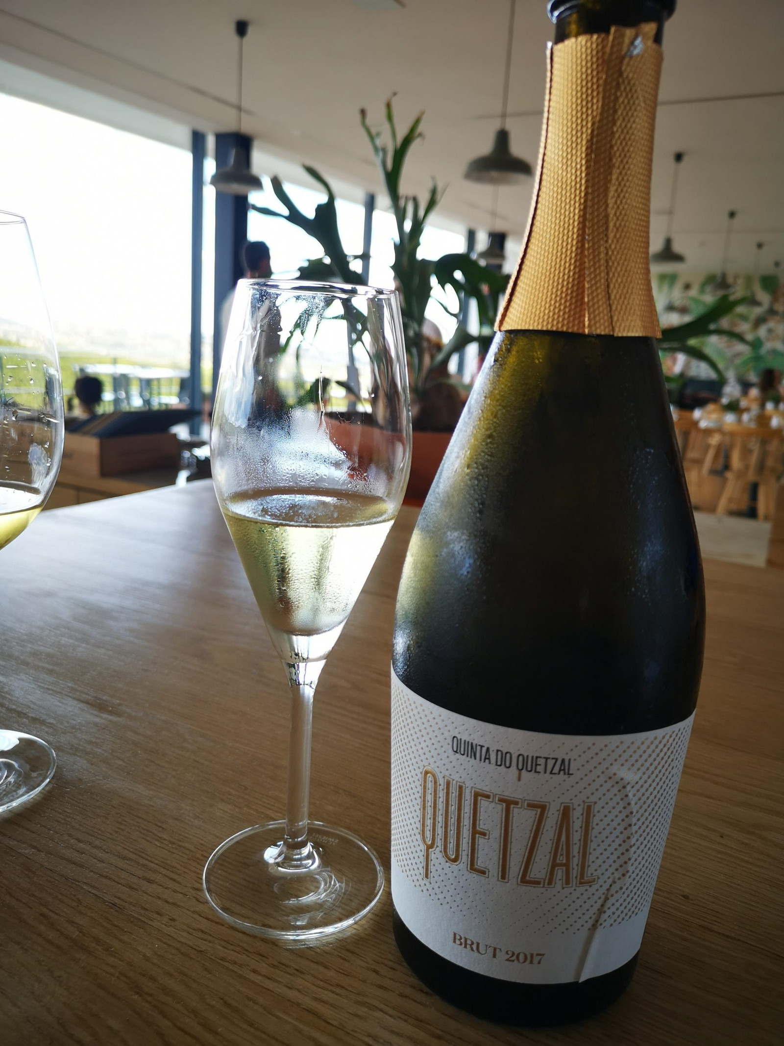 Vinho Quinta do Quetzal | Viva o Vinho