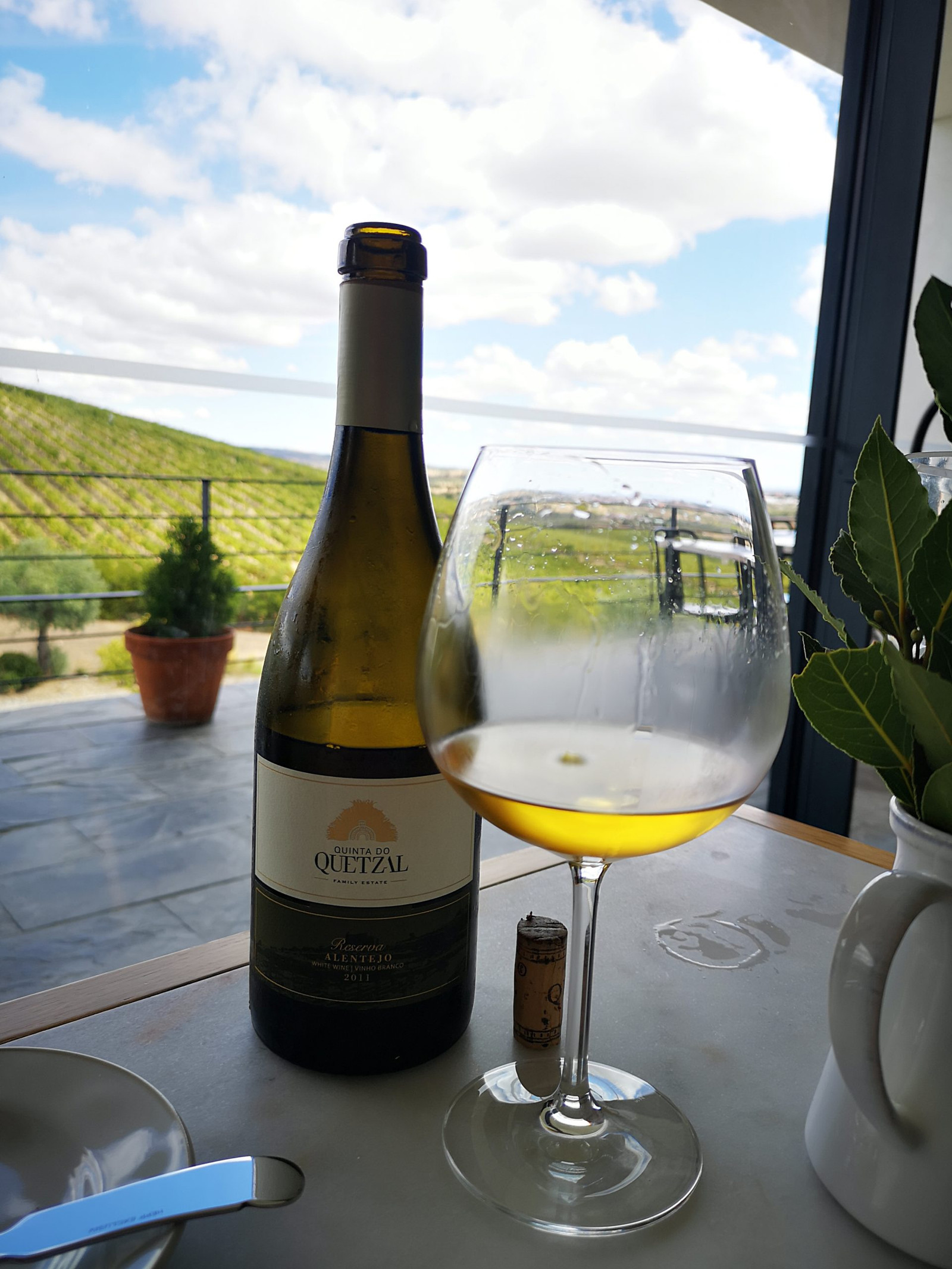 Vinho Quinta do Quetzal | Viva o Vinho