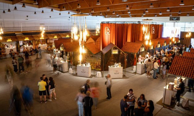 Comissão Vitivinícola da Bairrada anuncia 2.ª edição do evento AQUI NA BAIRRADA