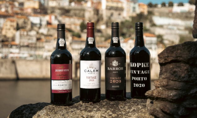 Sogevinus declara 2020 como ano vintage clássico
