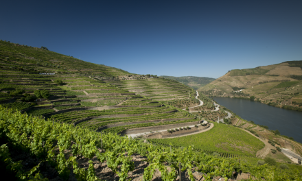 Quinta do Seixo inaugura percurso de Biodiversidade