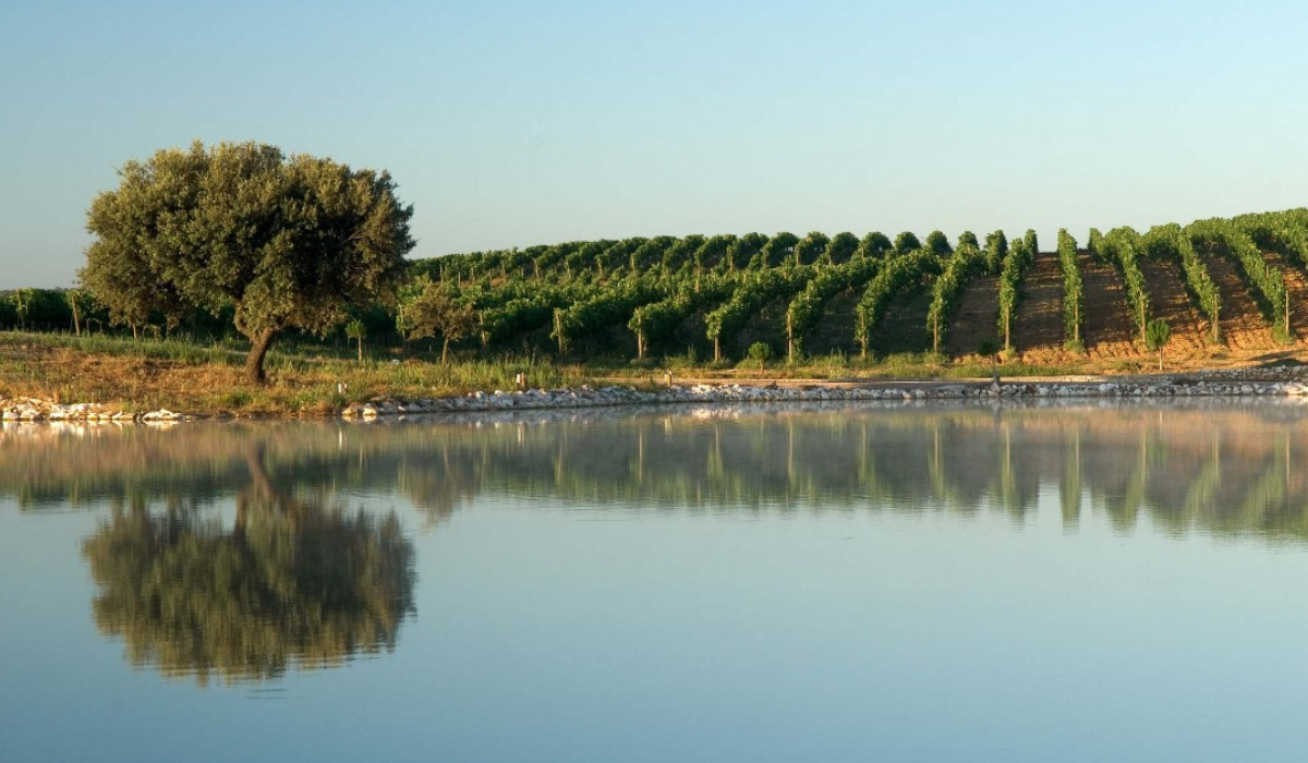 Jantar Vínico Herdade do Arrepiado Velho | Viva o Vinho