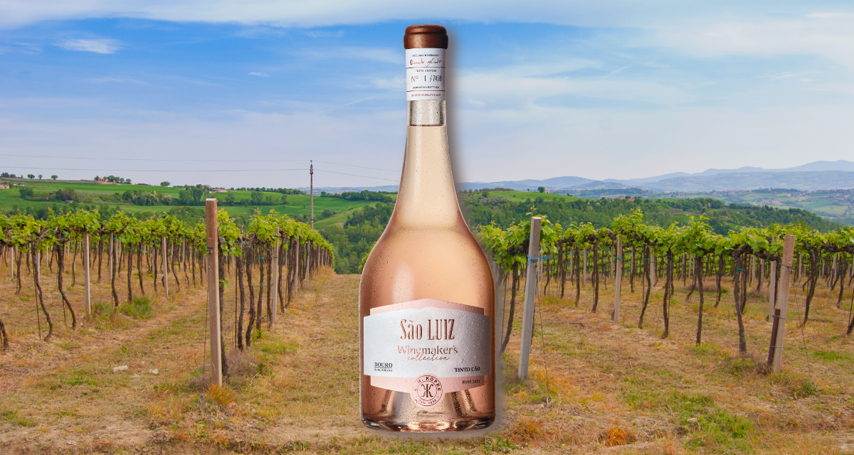 PR II São Luiz Winemaker’s Collection apresenta Tinto Cão Reserva Rosé 2021