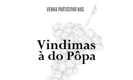 Programa de vindimas exclusivo para Pôpa Friends Wine Club