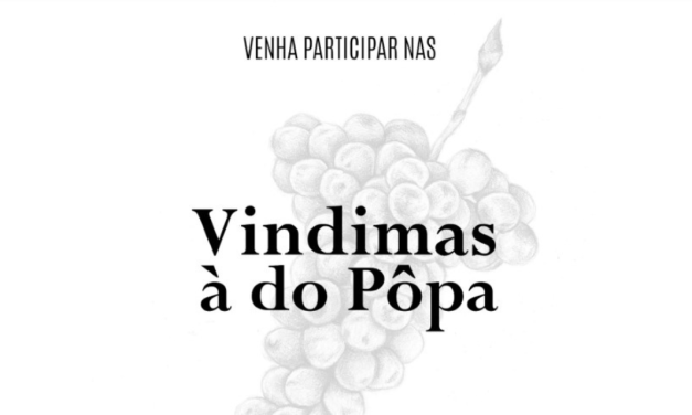 Programa de vindimas exclusivo para Pôpa Friends Wine Club
