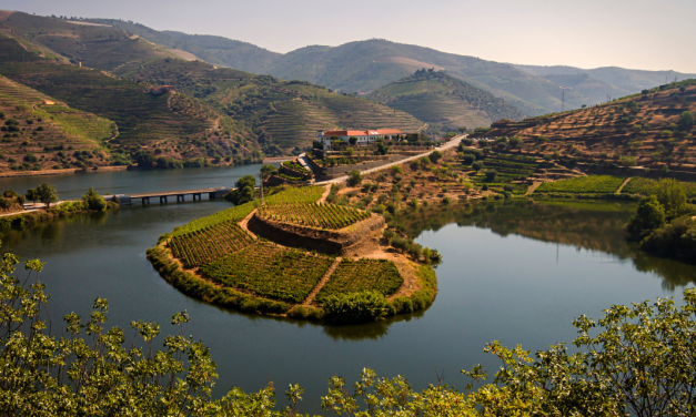 Margens do rio Douro recebem festival que junta música e gastronomia – Douro & Porto Wine Festival