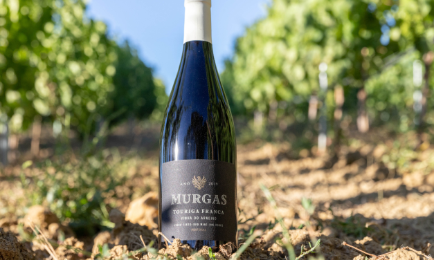 Branco doc bucelas 2018 e tinto vinha do arneiro 2019 são as novidades da murgas wines