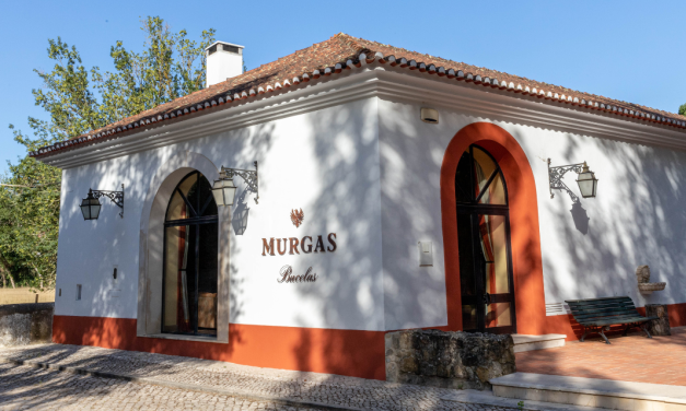Experiências de Enoturismo na Quinta das Murgas para desfrutar das paisagens vinhateiras de Bucelas
