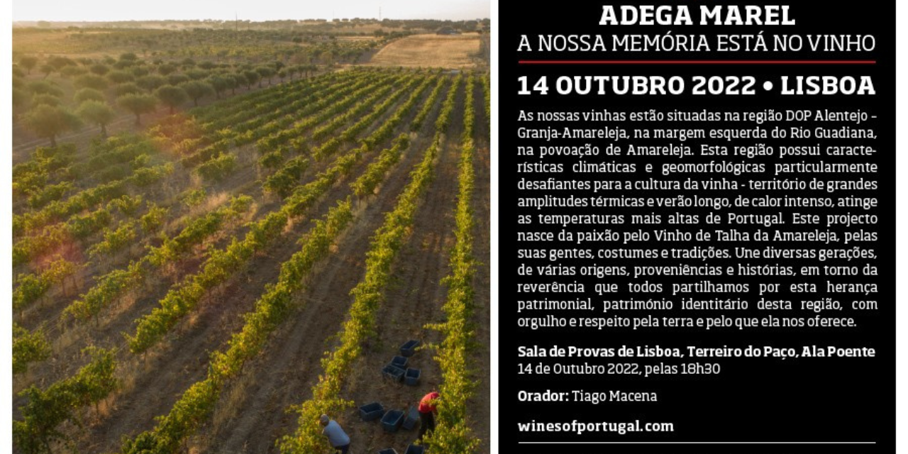 ViniPortugal | VivaoVinho.pt