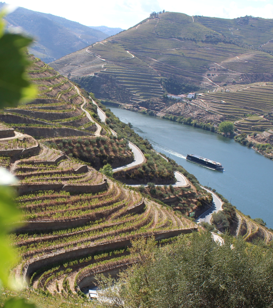 Douro | VivaoVinho.pt