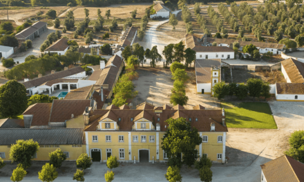 Quinta da Lagoalva faz rebranding e estreia Fernão Pires em monocasta