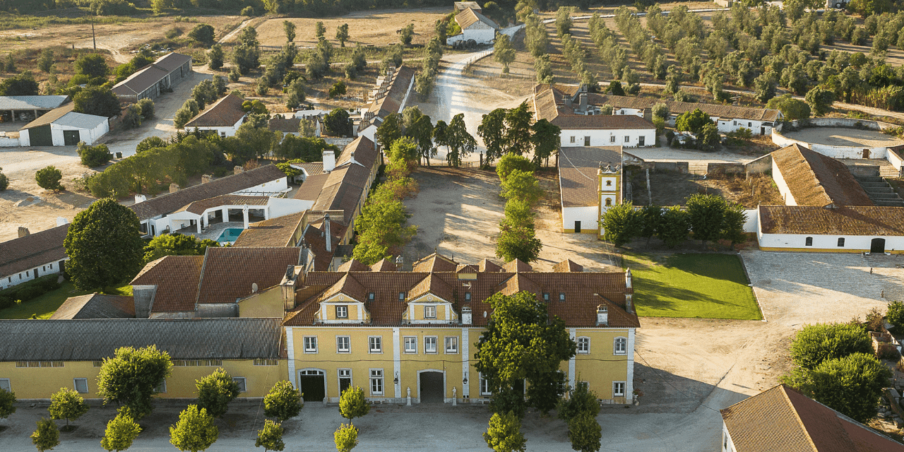 Quinta da Lagoalva faz rebranding e estreia Fernão Pires em monocasta