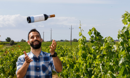 Herança Sanheiro – Vinhos Castelão que mantêm a tradição viva