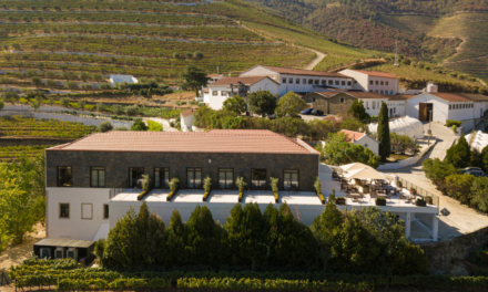 O Douro à mesa: Quinta de São Luiz abre restaurante na The Vine House