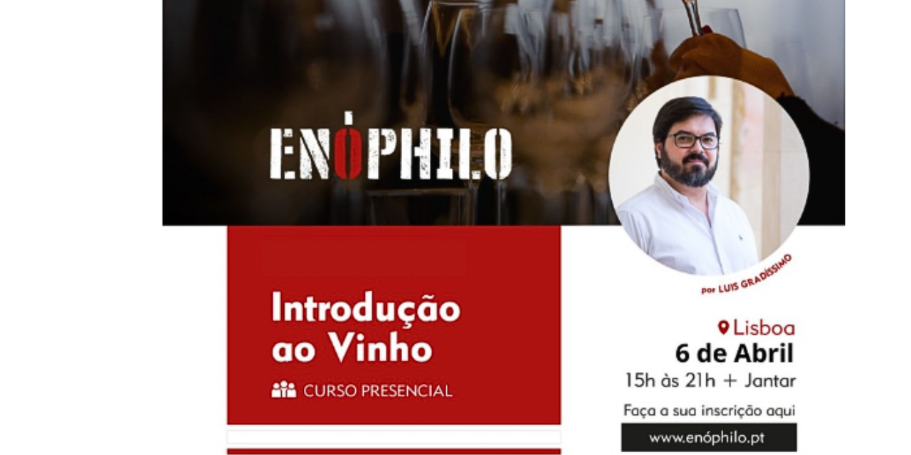 Curso Presencial de Introdução ao Vinho|Viva o Vinho