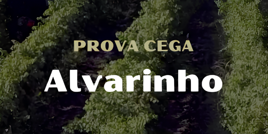 Prova Cega Alvarinho|Viva o Vinho