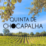 Quinta de Chocapalha certificada pelo Referencial Nacional de Sustentabilidade do Sector Vitivinícola