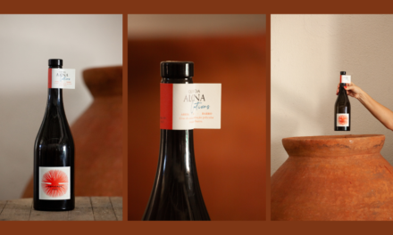 Quinta da Alorna Lança Amphorae, o primeiro vinho da marca Quinta da Alorna Creations