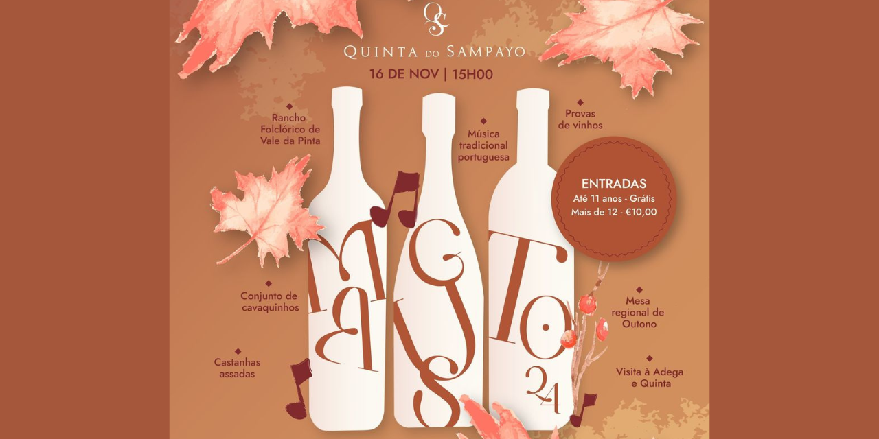 Festa do Magusto|Viva o Vinho