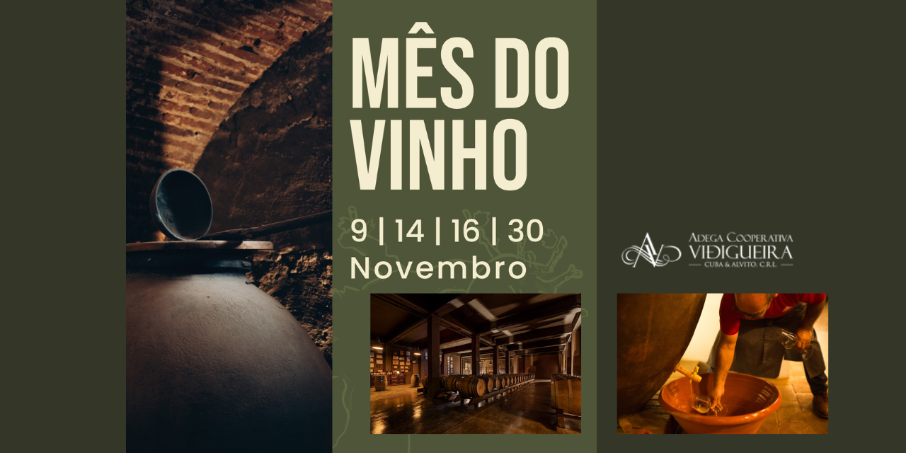 Novembro na Vidigueira 2|Viva o Vinho