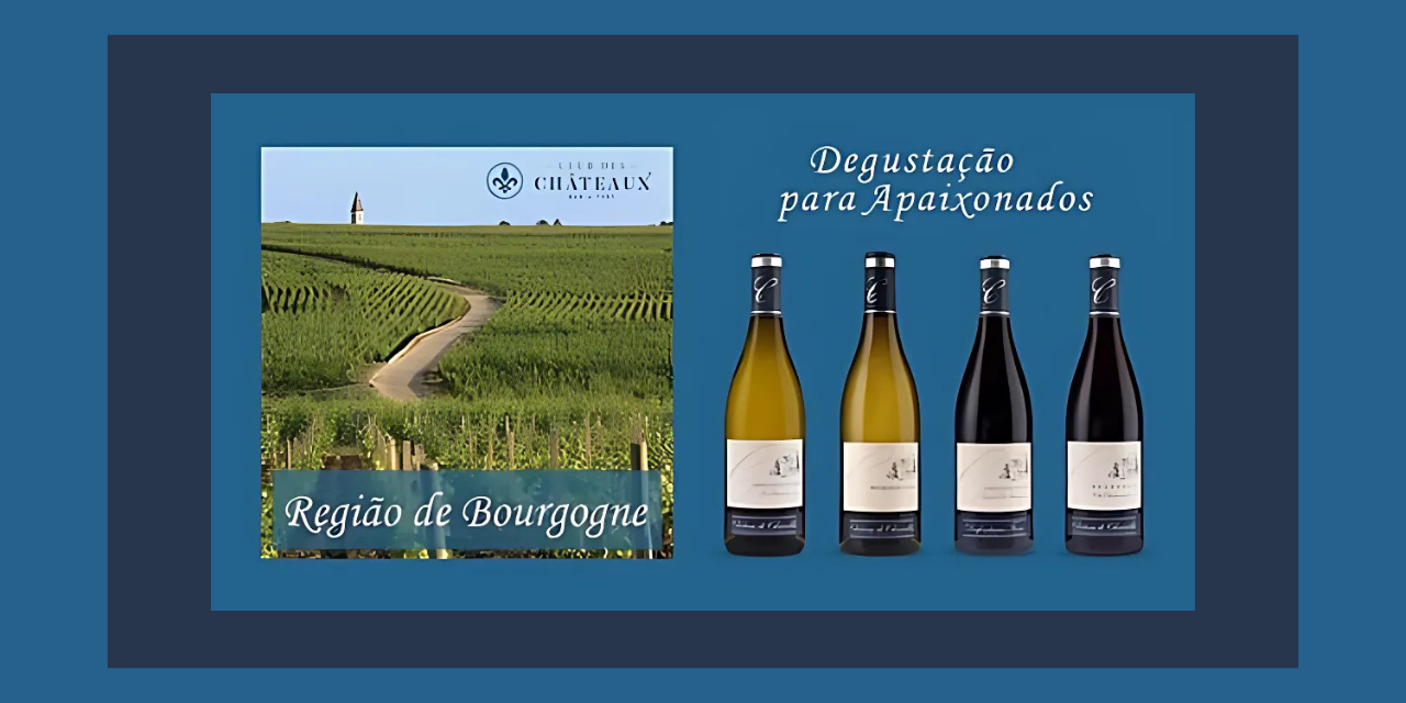 Premiers Crus - Borgonha|Viva o Vinho