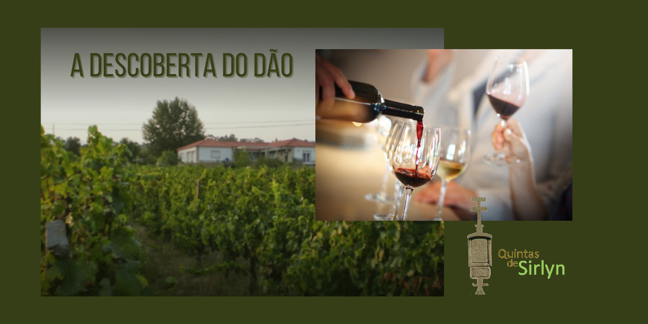 Prova de Vinhos Syrlin|Viva o Vinho