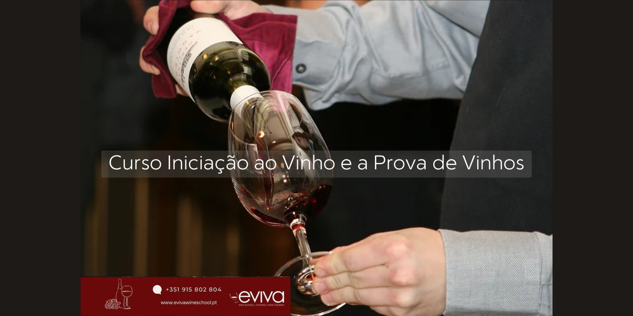 Curso de Iniciação Prova|Viva o Vinho