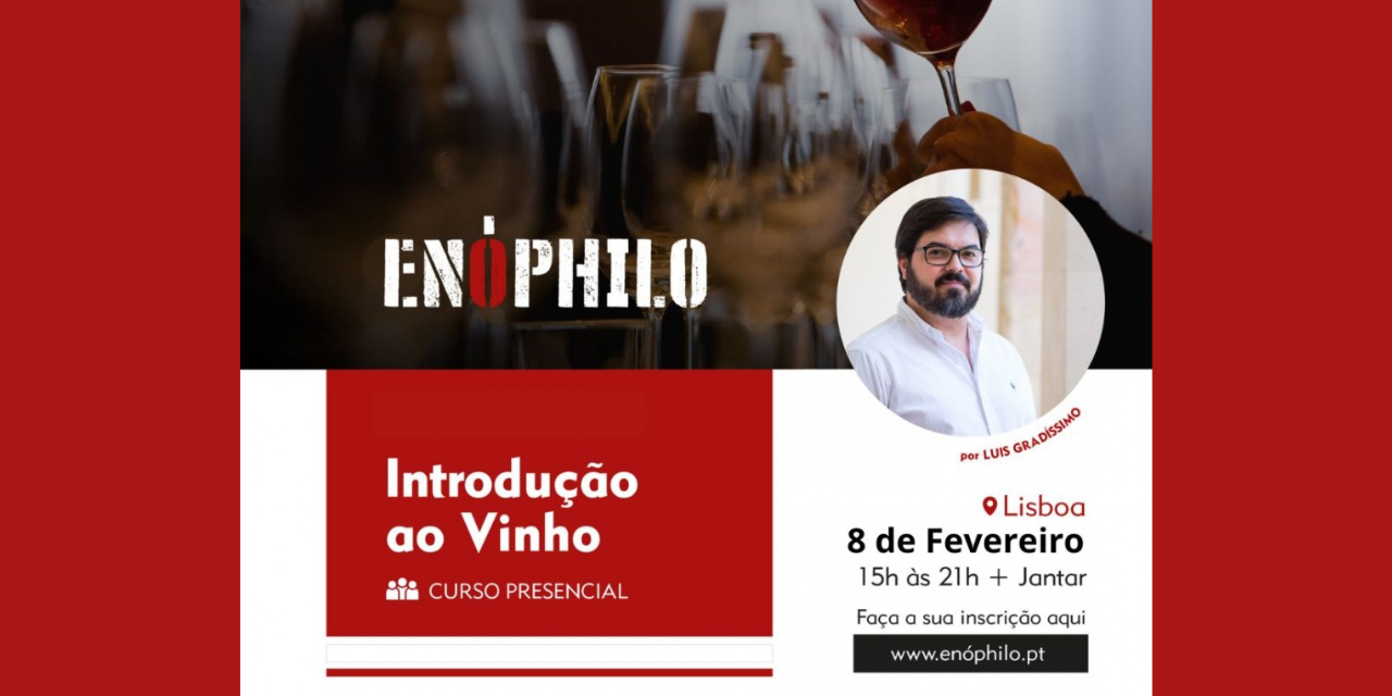 Introdução ao Vinho|Viva o Vinho