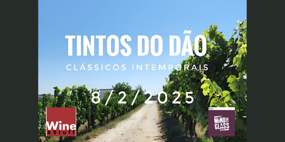 Prova Cega Tintos do Dão|Viva o Vinho