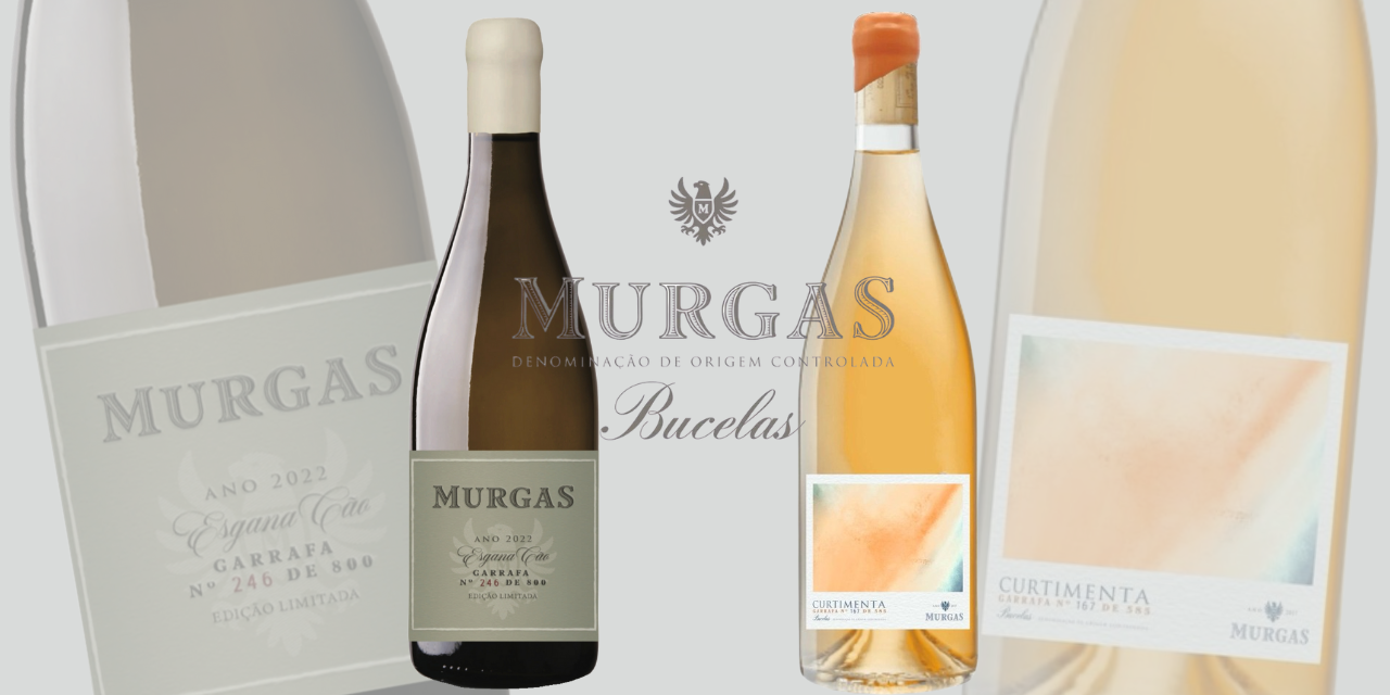 Duas Expressões, Uma Identidade: Os Novos Vinhos da Quinta das Murgas