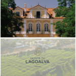 Quinta da Lagoalva aposta em enoturismo premium e inclui a família e o enólogo nas experiências