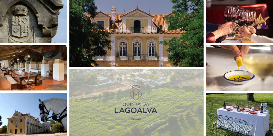 Quinta da Lagoalva aposta em enoturismo premium e inclui a família e o enólogo nas experiências