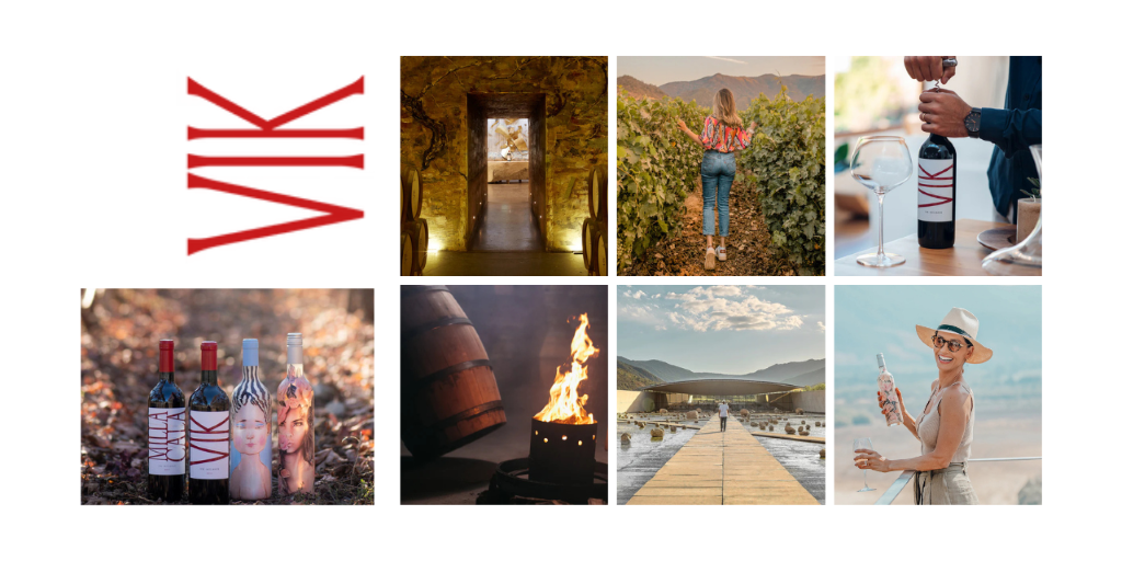 Vendimia Vik Chile|Viva o Vinho