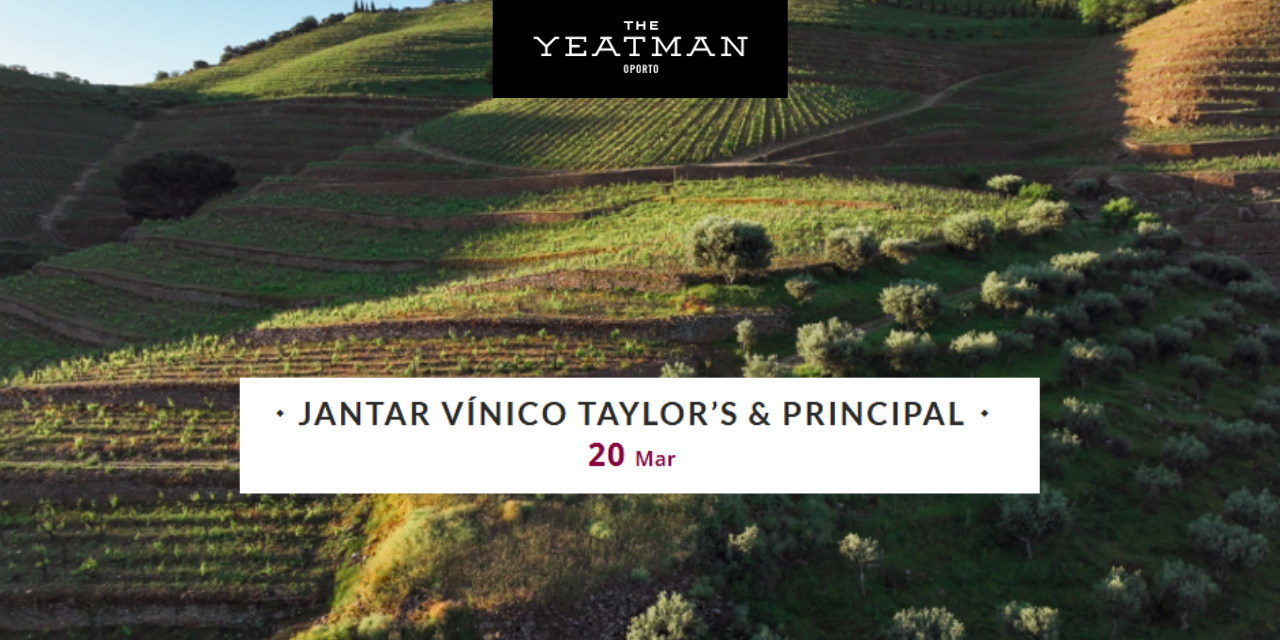 Jantar Vínico Taylor's|Viva o Vinho