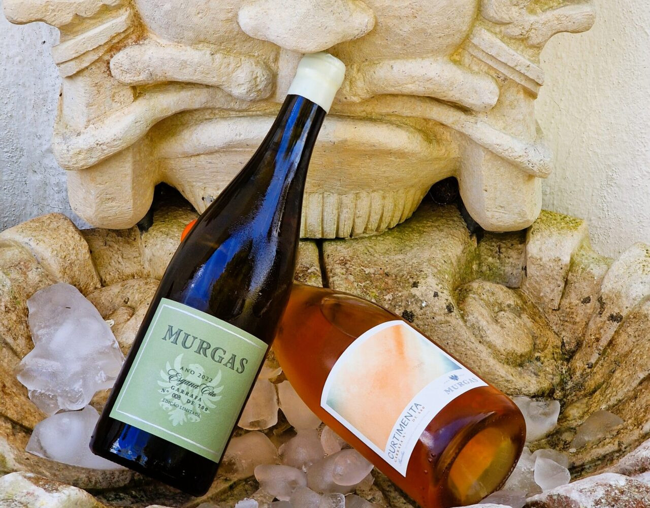 Descobrindo a Quinta das Murgas: tradição, biodiversidade e vinhos com alma