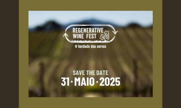 A Regenerative Wine Fest – 2ª edição