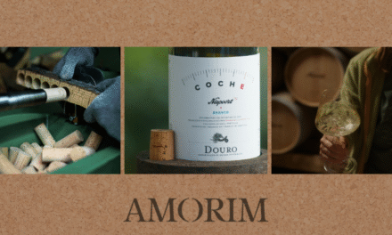 Corticeira Amorim e Niepoort unidas na promoção e valorização da excelência do vinho nacional