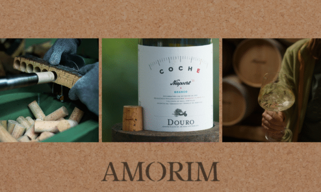 Corticeira Amorim e Niepoort unidas na promoção e valorização da excelência do vinho nacional