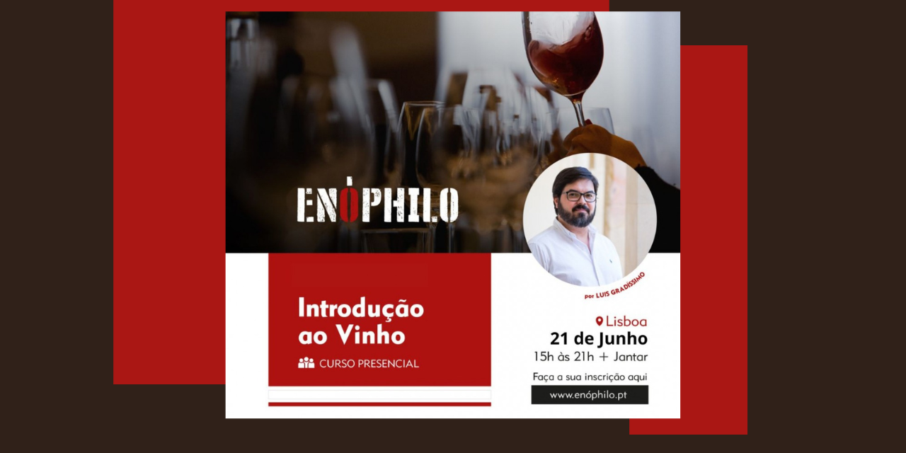 Introdução ao Vinho Curso |Viva o Vinho