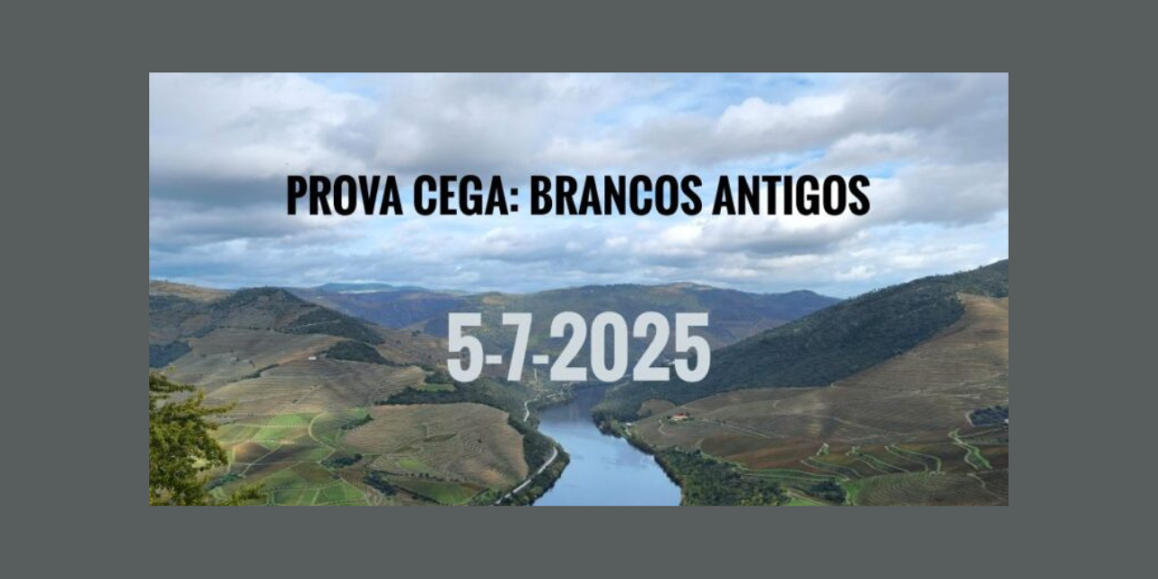 Prova Cega Vinhos Bracos Antigos|Viva o Vinho